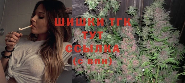 бошки Верхний Тагил