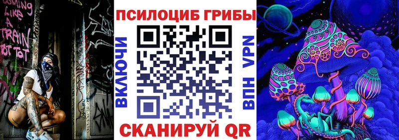 Купить  Сорск  Галлюциногенные грибы мицелий 